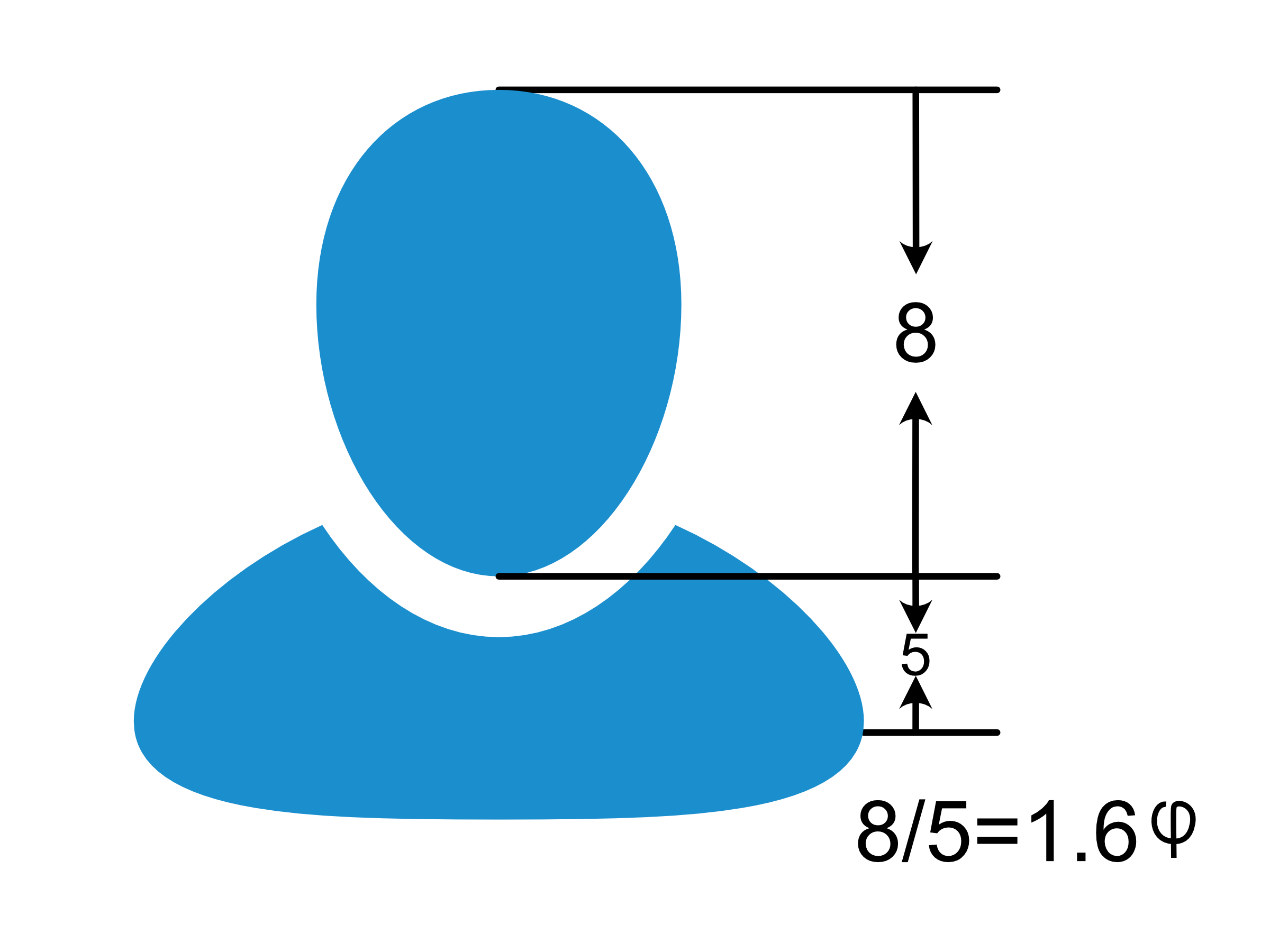 golden rule head golden ration exercise for human head