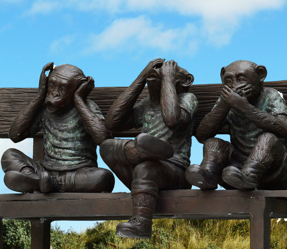 monkey_see monkey see, monkey do