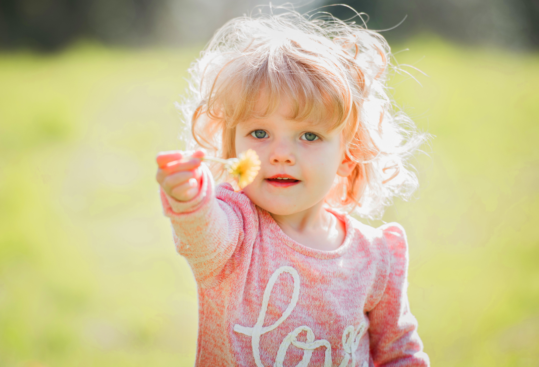 Dandelion girl safe 